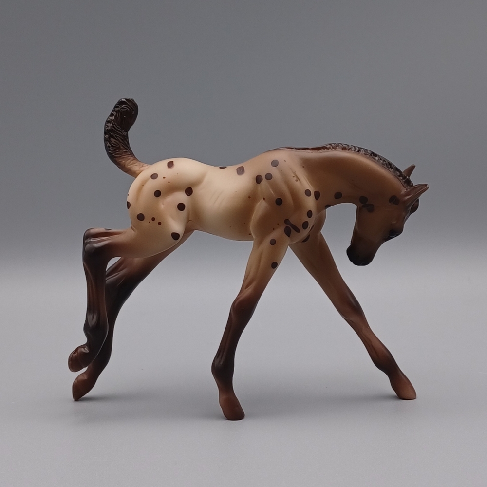 Breyer Dakotah - Picture 6 of 15